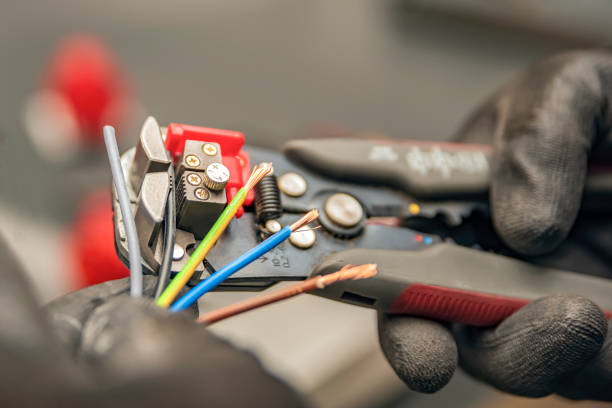 Best Electric Panel Repair  in Oakland, FL